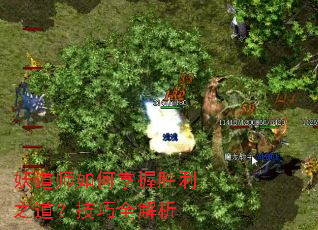 ����ʦ�������ʤ��֮��������ȫ����