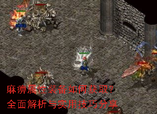 �������װ����λ�ȡ��ȫ�������ʵ�ü��ɷ���