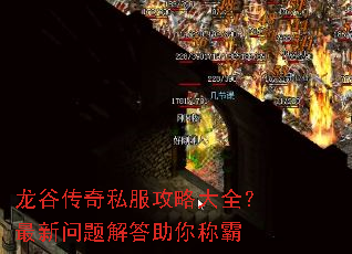 ���ȴ���˽�����Դ�ȫ����������������ư�