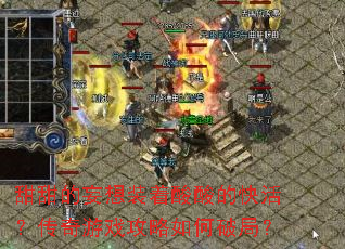 ���������װ������Ŀ�������Ϸ��������ƾ֣�